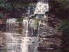 ganoga7