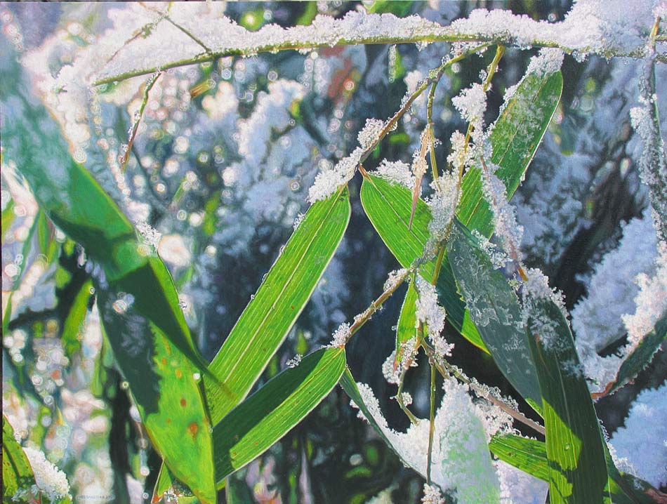 The snow collected on bamboo